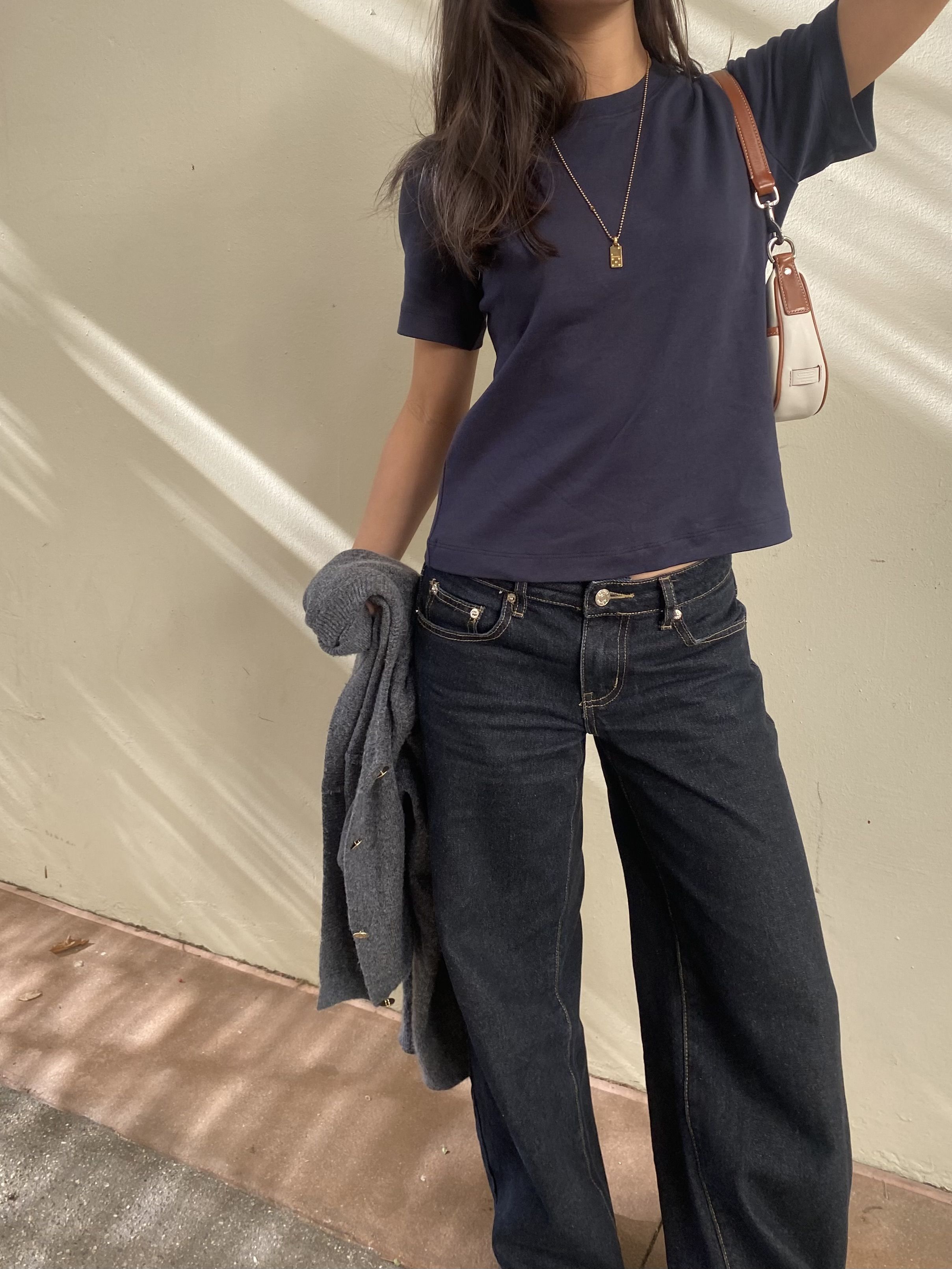 How to Grow a Philodendron Birkin